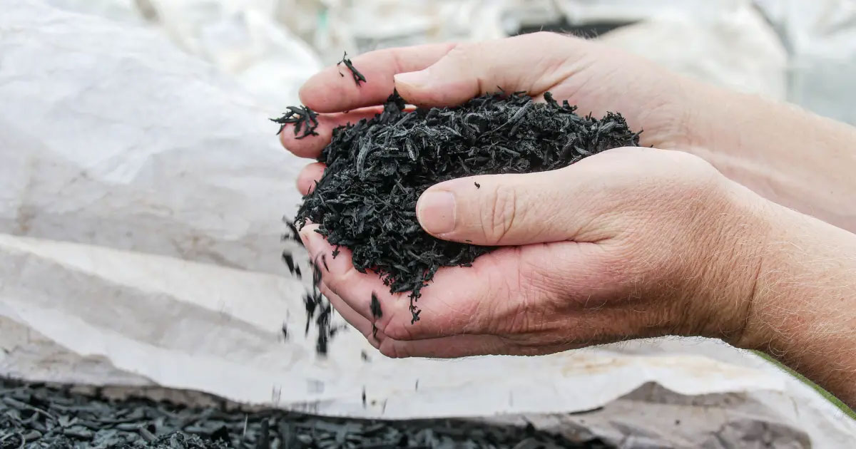 Biochar-South-Africa.jpg Biochar-South-Africa.jpg